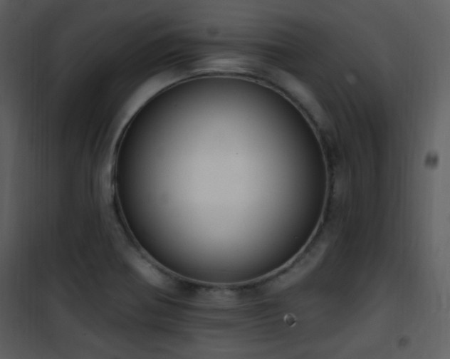 X0000102001370200807181155