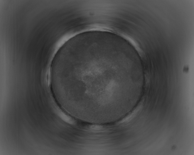 X0000102001371200807181154