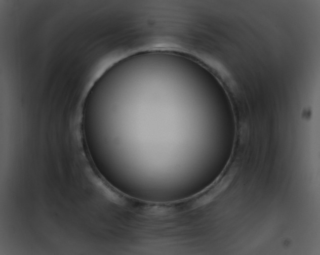 X0000102001374200807181154