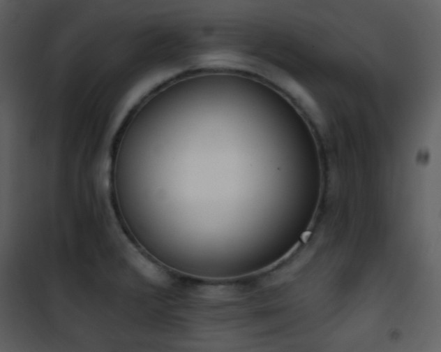 X0000102001376200807181154