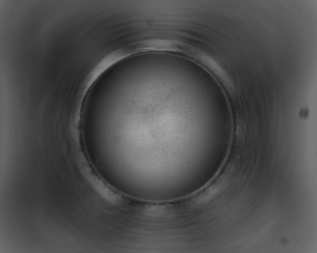 X0000102001378200807181154