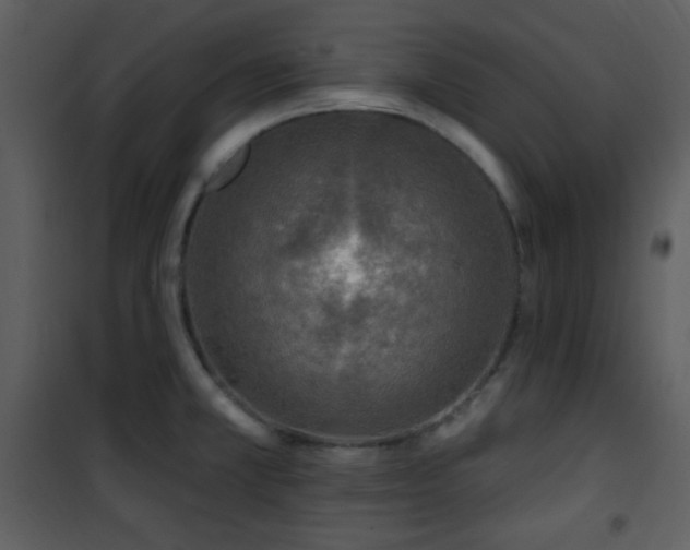 X0000102001381200807181154