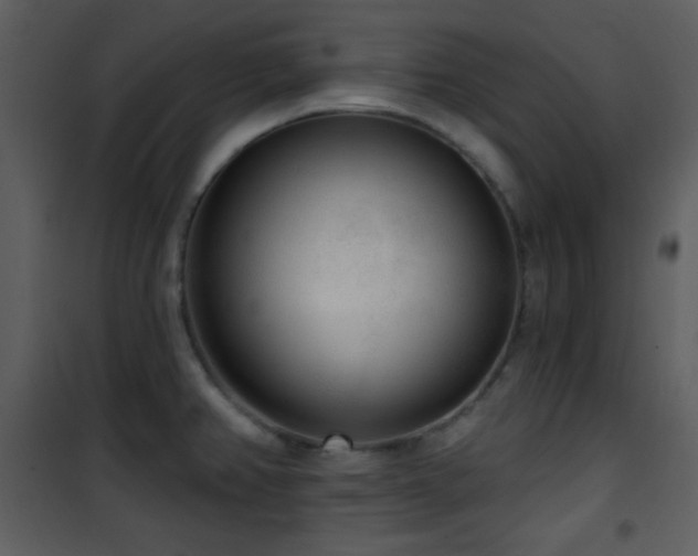 X0000102001382200807181154