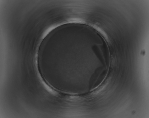 X0000102001383200807181154