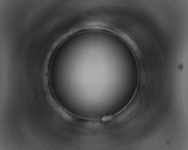 X0000102001384200807181154