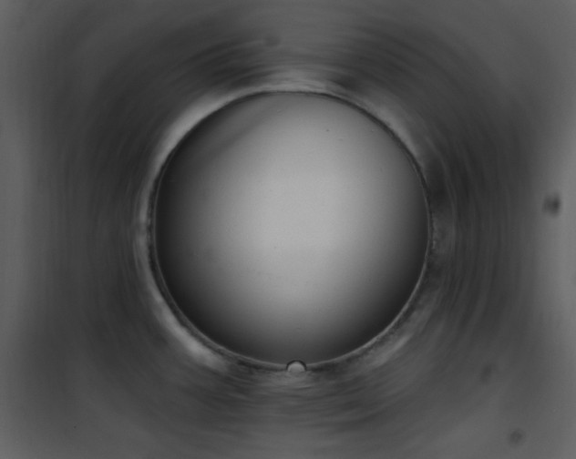 X0000102001387200807181154