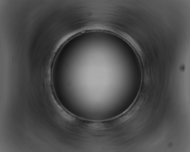 X0000102001388200807181154