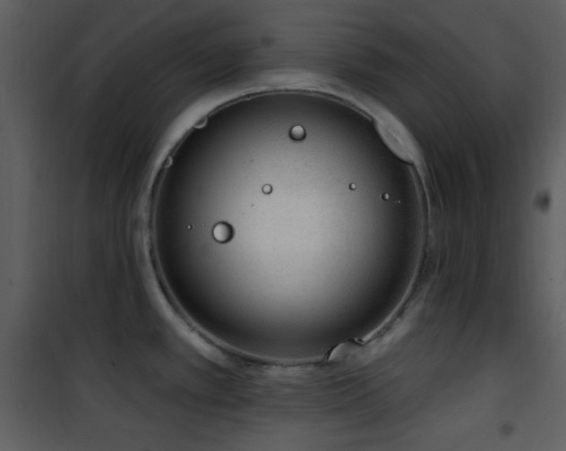 X0000102001389200807181154