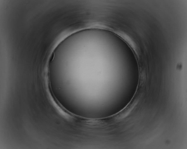 X0000102001391200807181154