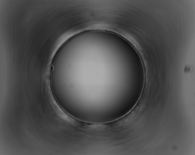 X0000102001392200807181154