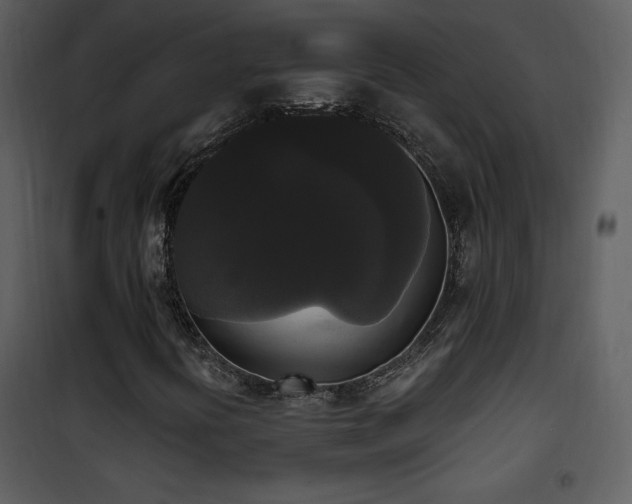 X0000102001394200807181153