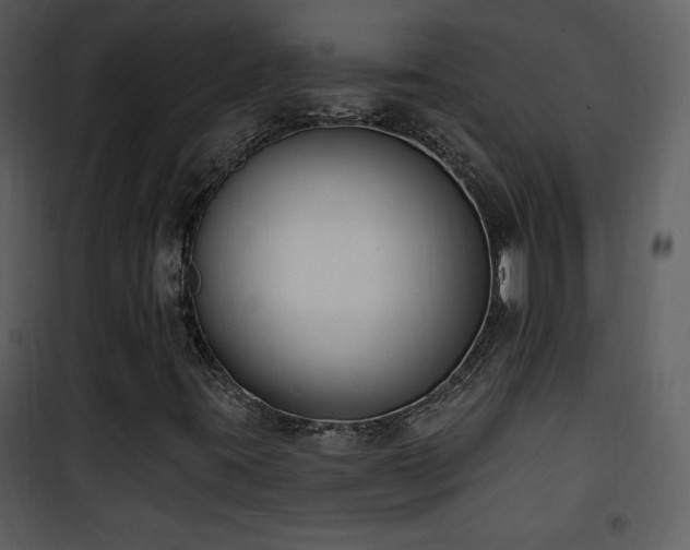 X0000102001395200807181153