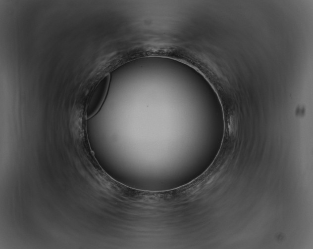 X0000102001396200807181154