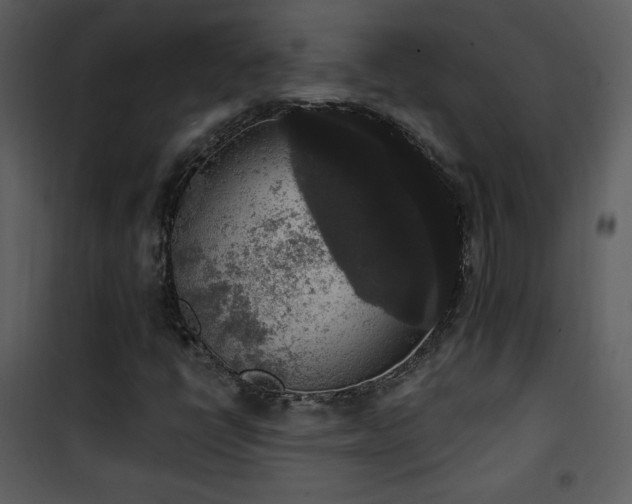 X0000102001398200807181154