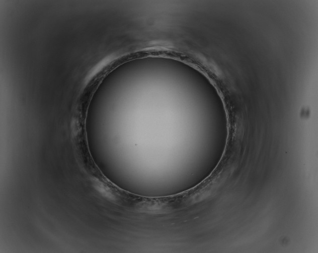 X0000102001400200807181154