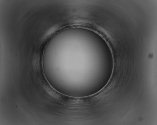 X0000102001403200807181154