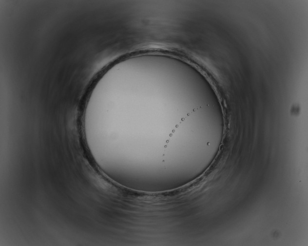 X0000102001404200807181154