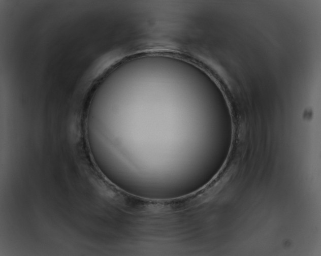 X0000102001407200807181154