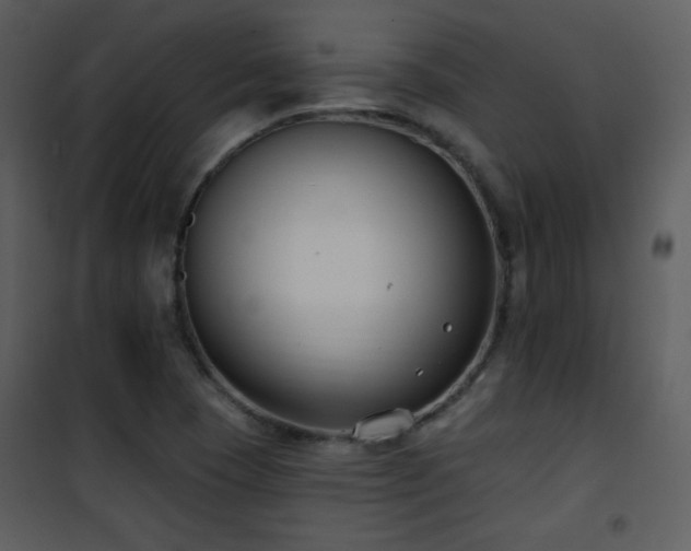 X0000102001409200807181154