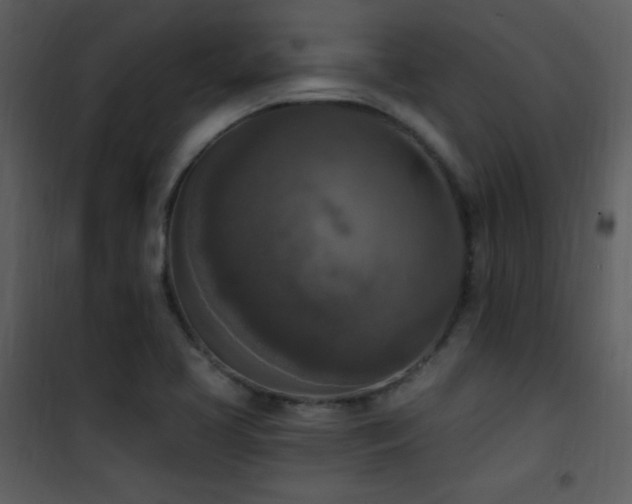 X0000102001413200807181154