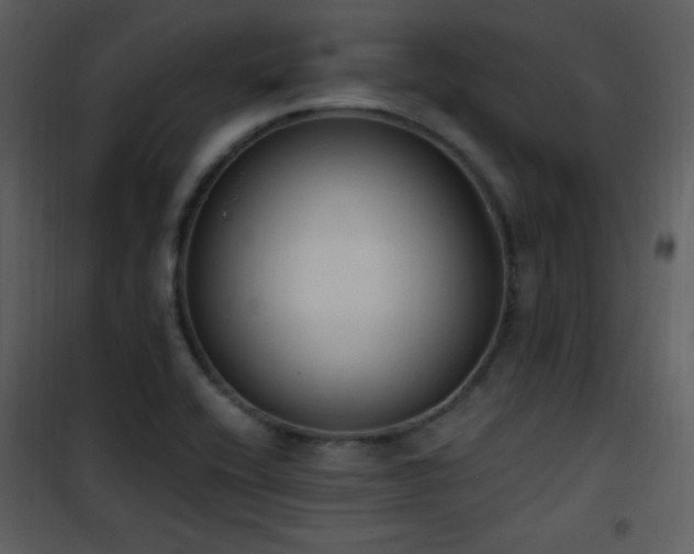 X0000102001416200807181154