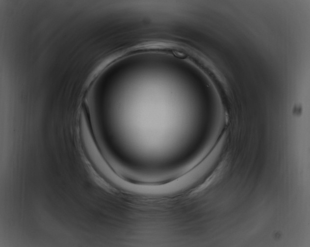 X0000102001417200807181154