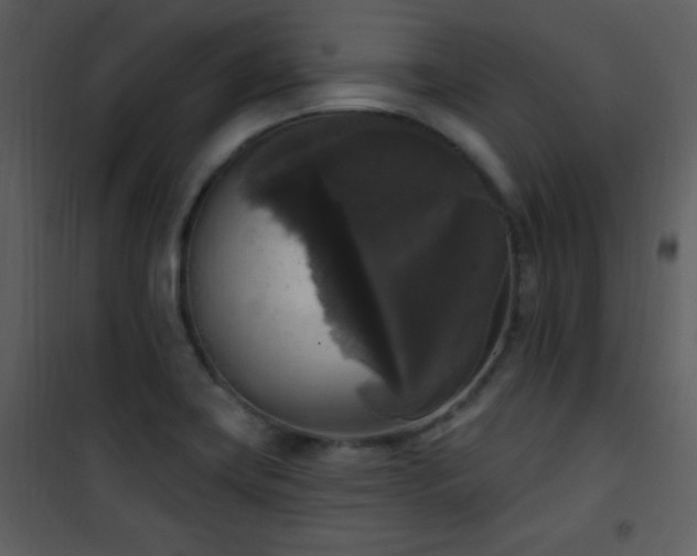 X0000102001419200807181154