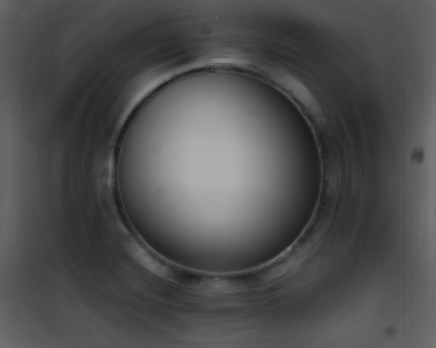 X0000102001420200807181154