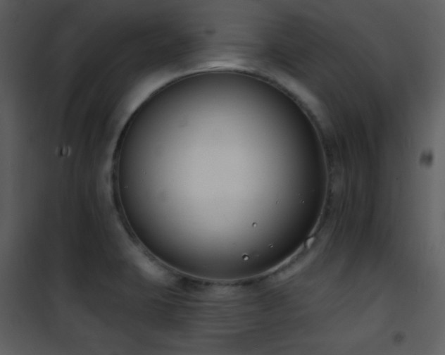 X0000102001423200807181154