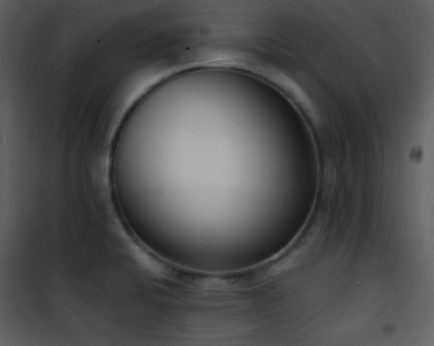 X0000102001424200807181154