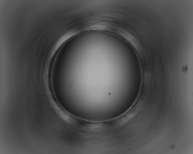 X0000102001426200807181154