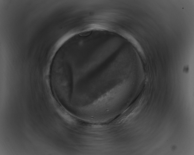 X0000102001427200807181154