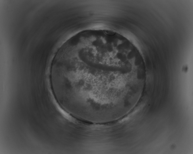 X0000102001429200807181154