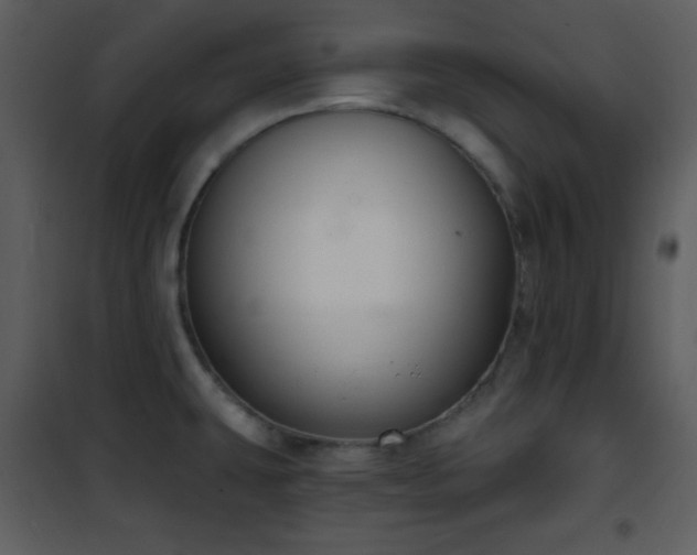 X0000102001431200807181154