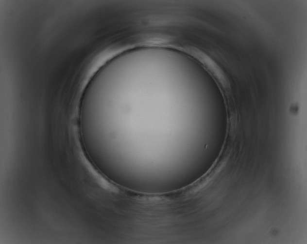 X0000102001432200807181154