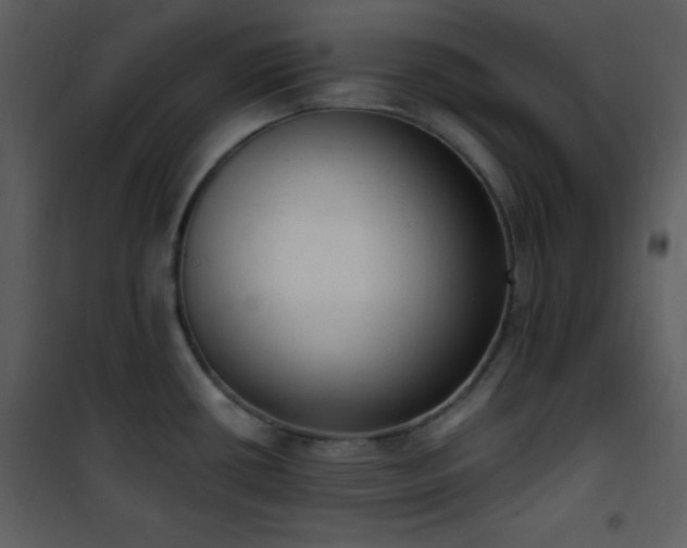 X0000102001434200807181154