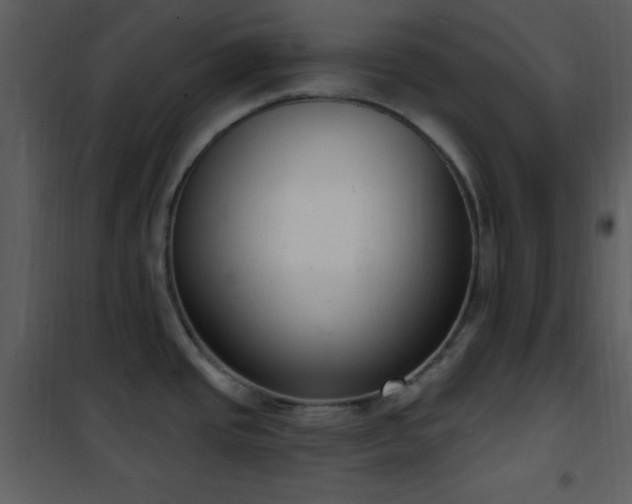 X0000102001437200807181154