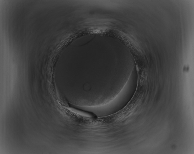 X0000102001441200807181153