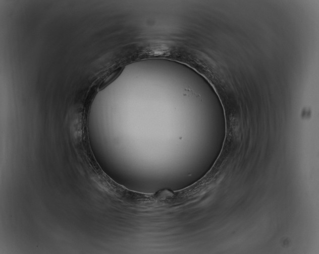 X0000102001442200807181153