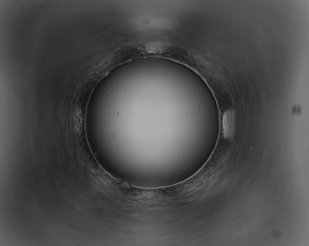 X0000102001443200807181153