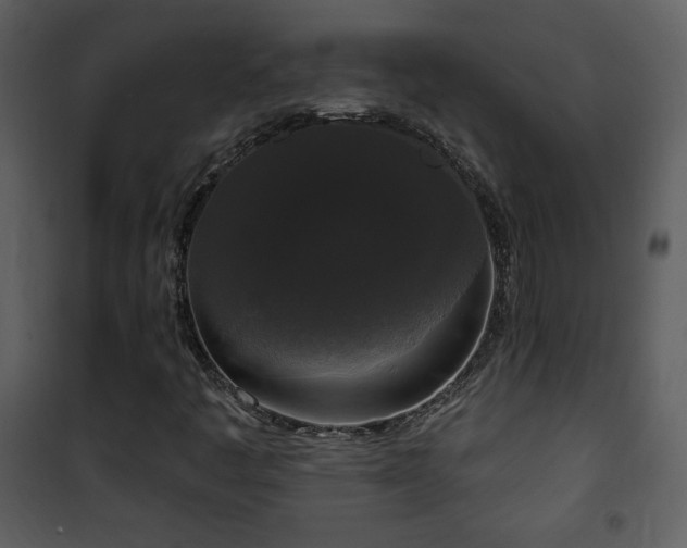 X0000102001445200807181153