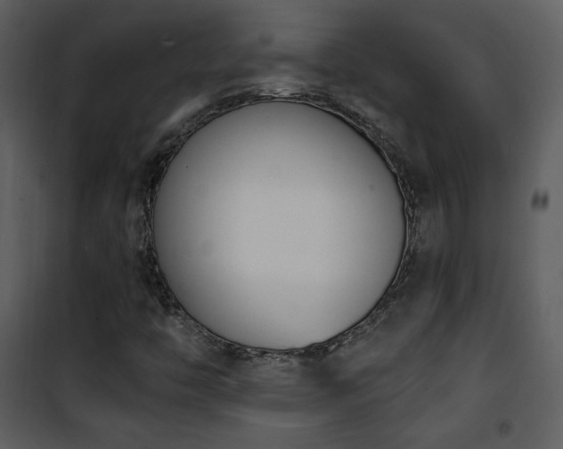 X0000102001446200807181153