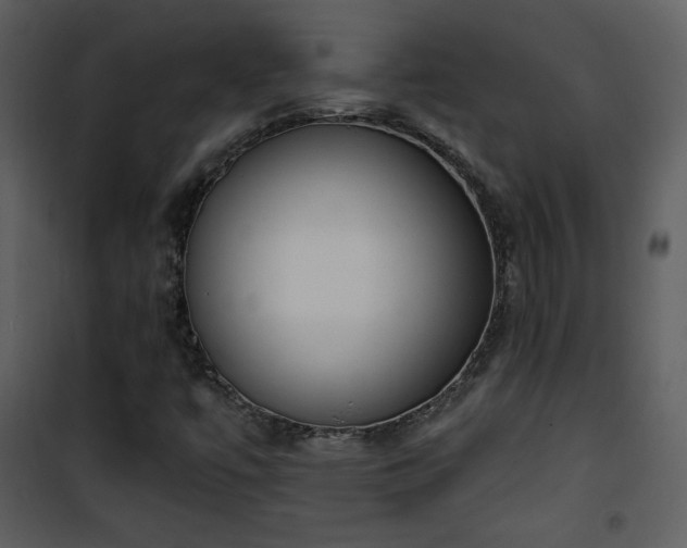 X0000102001447200807181153