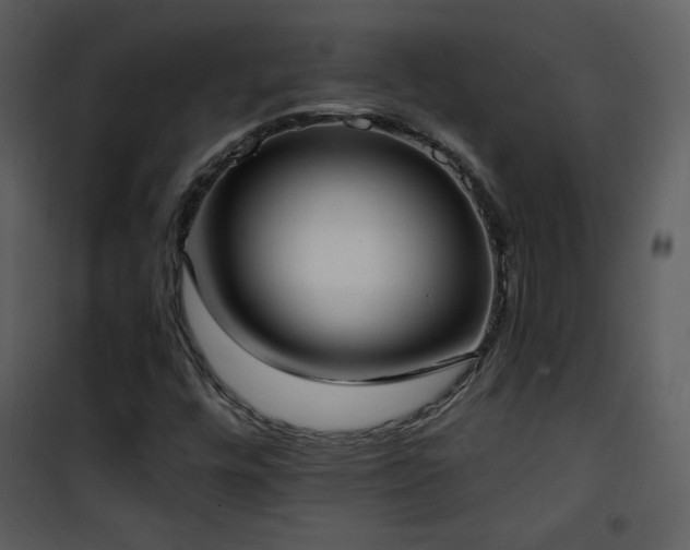 X0000102001448200807181153