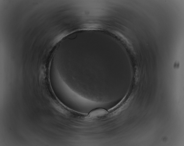 X0000102001449200807181153