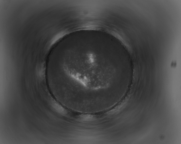 X0000102001450200807181153