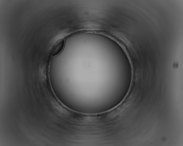 X0000102001451200807181153