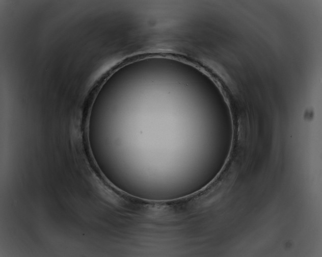 X0000102001452200807181153