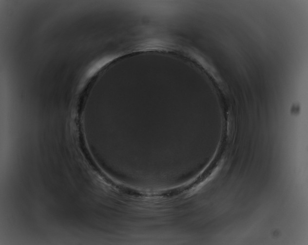 X0000102001453200807181153