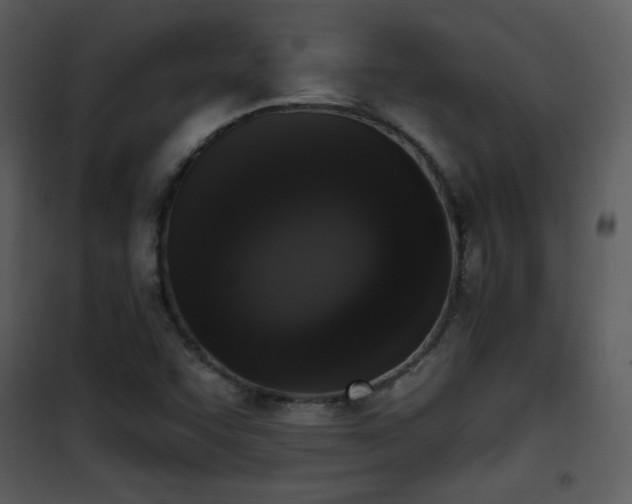 X0000102001455200807181153